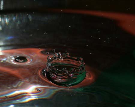 IMG_5987_crop