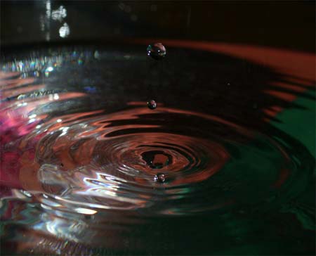IMG_5999_crop