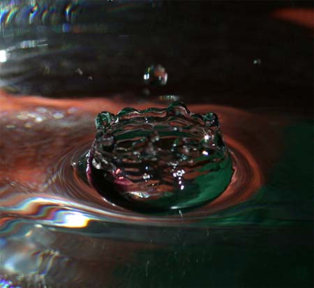 IMG_6008_crop