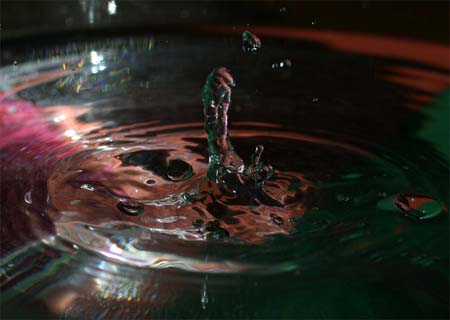 IMG_6030_crop