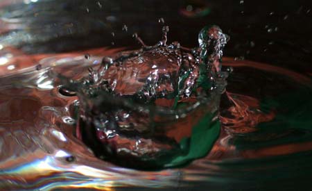 IMG_6036_crop
