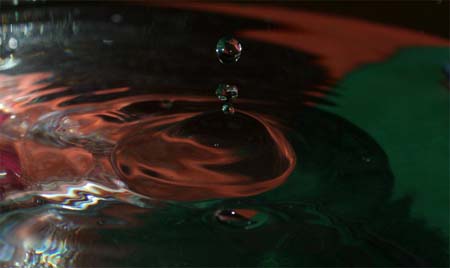 IMG_6040_crop