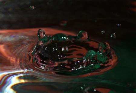 IMG_6041_crop