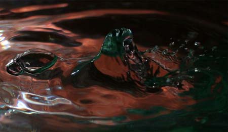 IMG_6101_crop