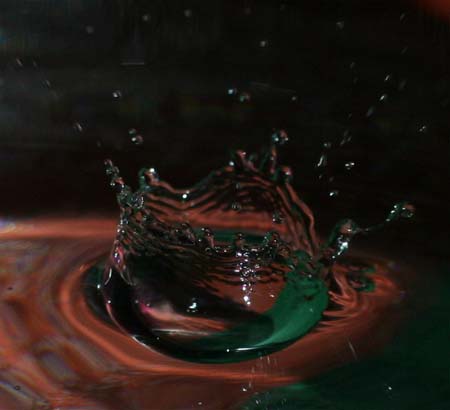 IMG_6108_crop