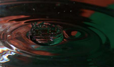IMG_6125_crop