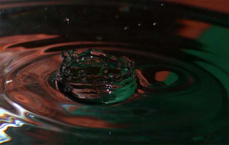 IMG_6125_crop2