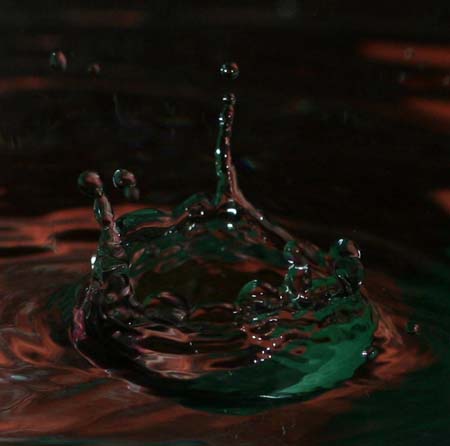 IMG_6130_crop