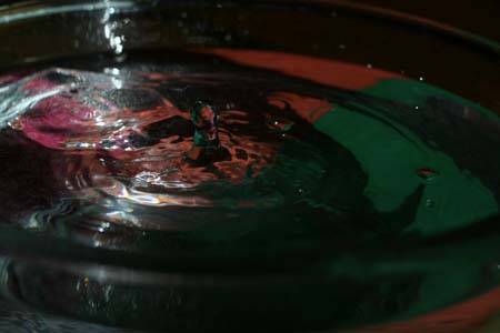 IMG_6138_crop