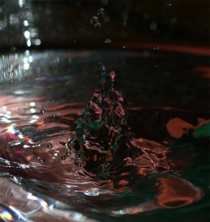 IMG_6140_crop