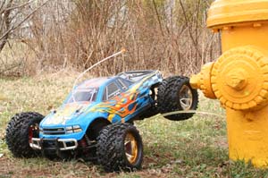 IMG_8260_size