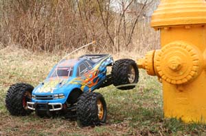 IMG_8261_crop