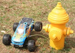 IMG_8268_crop