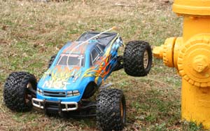 IMG_8278_crop
